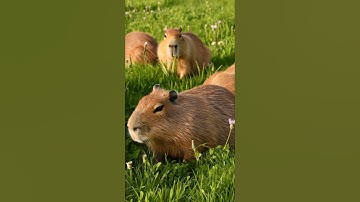 Love it❤❤❤💞