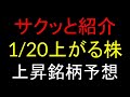 1月20日(火)上がる株を予想