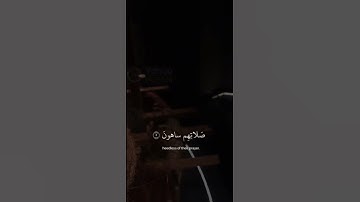 #تلاوات #تلاوت#عبدالرحمن_مسعد #تلاوة_خاشعة #قران_كريم #قرآن #ترتیل #عبدالرحمن_مسعد #القرآن_الكريم