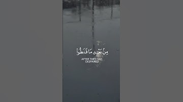 َهُوَ الَّذِي يُنَزِّلُ الْغَيْثَ… 🌧 | سورة الشورى آية 28 | تلاوة خاشعة للقارئ ياسر الدوسري
