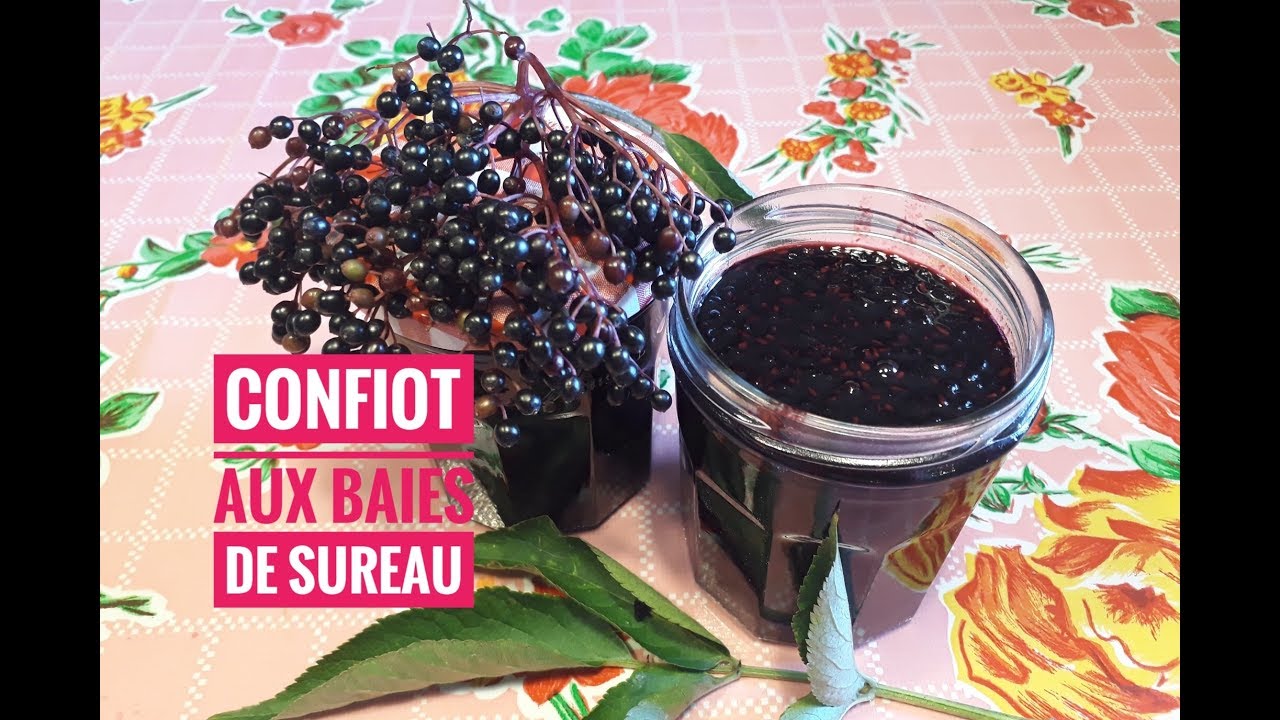 Ma Confiture de baies de Sureau