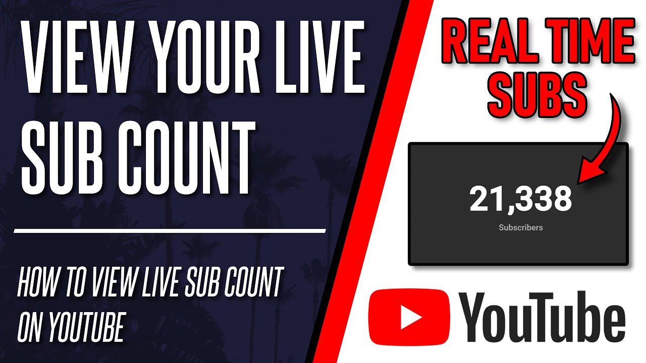 How to see your live count sub