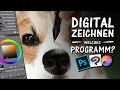 DIGITAL ZEICHNEN - Welches Programm ist für dich? | Drawinglikeasir