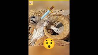 Animals That Accidentally Kill Themselves 😨 | Strange Nature Facts#AnimalFacts#NatureMyster#FactNow