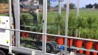 Trimming machine RAP 310 for little trees in pots on field 2