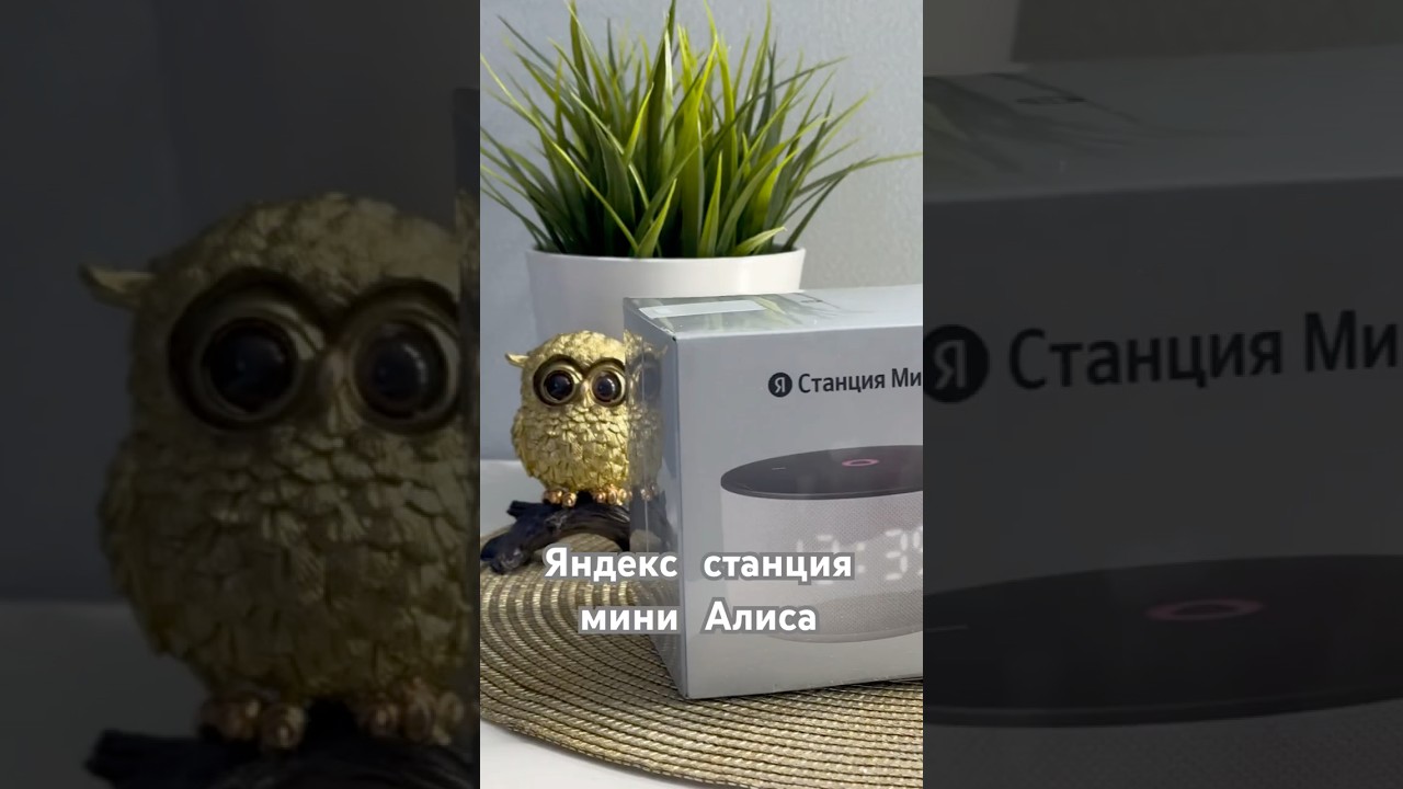 Исполнение мини мечты 😍 спасибо! Яндекс мини 3 