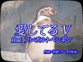 ウルフルズ / ズ盤 ザ・ムービー『ズ盤のZoo版』 第4話 “愛してる V&quot;