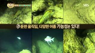 [정글의법칙] 131108 #4(7)