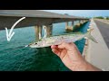 Taming the BRIDGE MONSTER (Florida Keys Bridge Fishing)