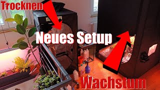 Neues Setup | Trockenzelt + Ernte Vorbereitung | Grow Update