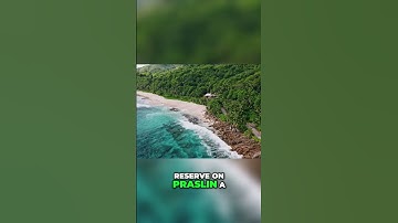 Seychelles Hidden Gems Part 4