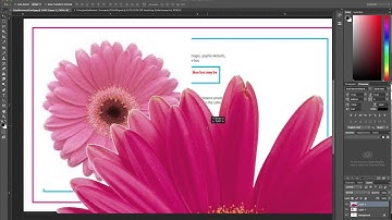 The problem with low resolution images in print