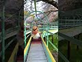 Sakura Slide 🌸 #shorts #sakura #japantravel
