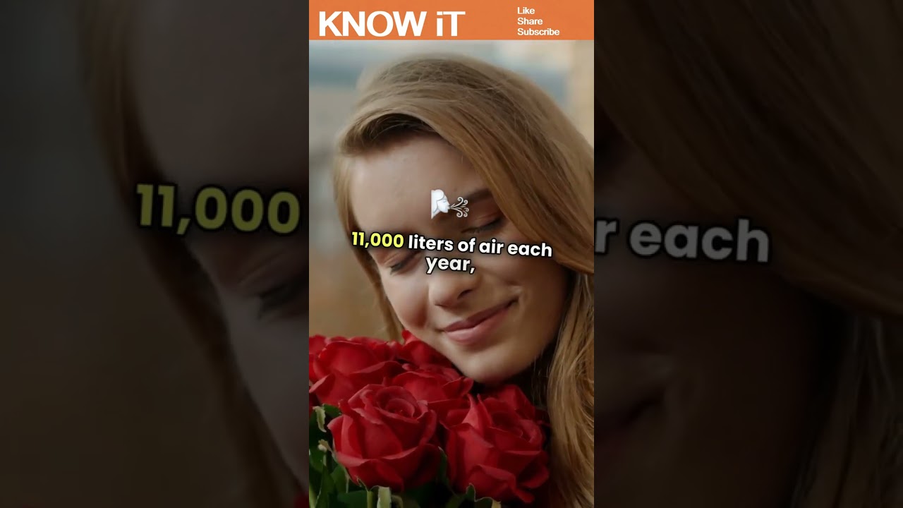 10 Intriguing Facts About Human Nose | KNOW iT