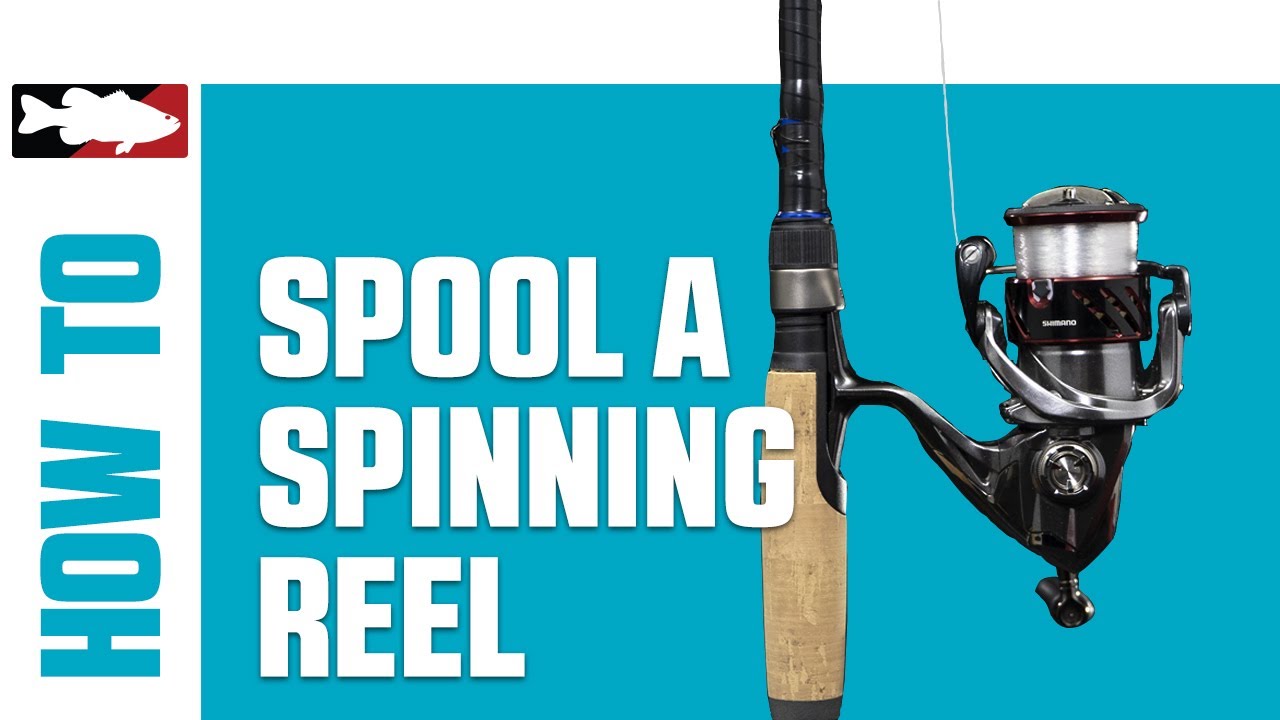 How To Spool A Spinning Reel  Bass Fishing Basics 