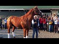 Justify Triple Crown