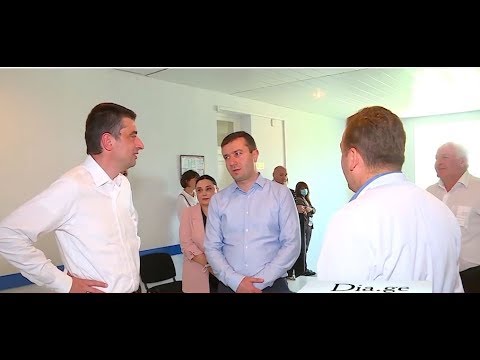 გიორგი გახარია გორის მუნიციპალიტეტის სოფელ ნიქოზის ამბულატორიაში იმყოფებოდა 11.06.2020