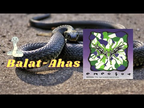 Erectus - Balat-Ahas