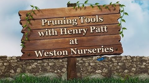 How Does Your Garden Grow, 2:2 - Pruning Tools