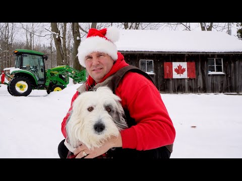 Christmas Day with the Animals on our Small Farm