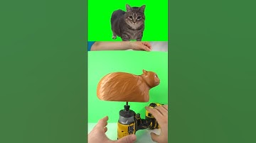 How to make spinning OIIAOIIA CAT