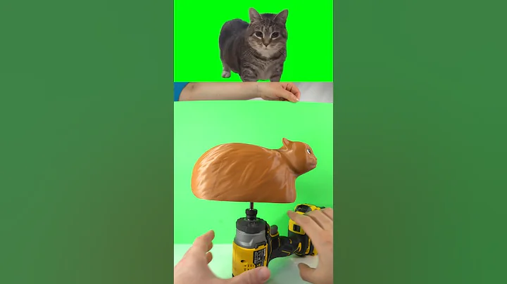 How to make spinning OIIAOIIA CAT