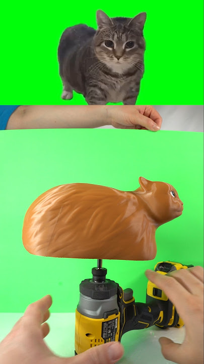 How to make spinning OIIAOIIA CAT