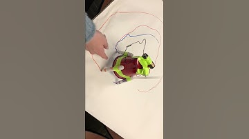 Scribble Bot Video - Jamie & Aubrie