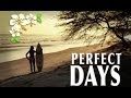 Perfect Days in El Salvador: A Surfing Documentry