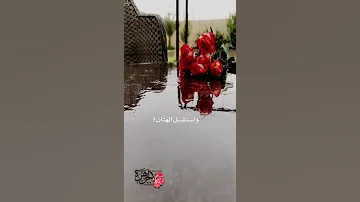 تعط ر قلبي بريح المطر واستقبل الهت ان يغني للمطر نبضه وانا واقف على بابك ماجد خضير 