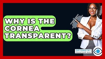 Why Is The Cornea Transparent? - Optometry Knowledge Base
