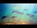 Exploring the Film Aesthetic with the Nikonos V and Portra 800