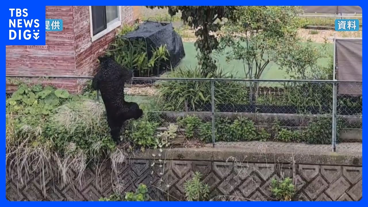 800台以上のカメラ設置しクマ個体数調査へ 6月下旬から クマによる被害