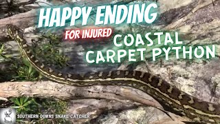 HAPPY ENDING FOR INJURED PYTHON