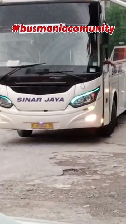 BUS SINAR JAYA 45 AC MANTABBB #shorts