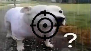 Synthmind - Spade | Sols RNG Shiftlock soundtrack