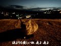 夜よ 石原裕次郎  ネコカラ 唄:八代千若
