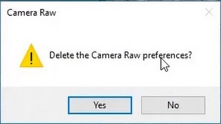 How To: Reset Camera Raw Preferences Profile