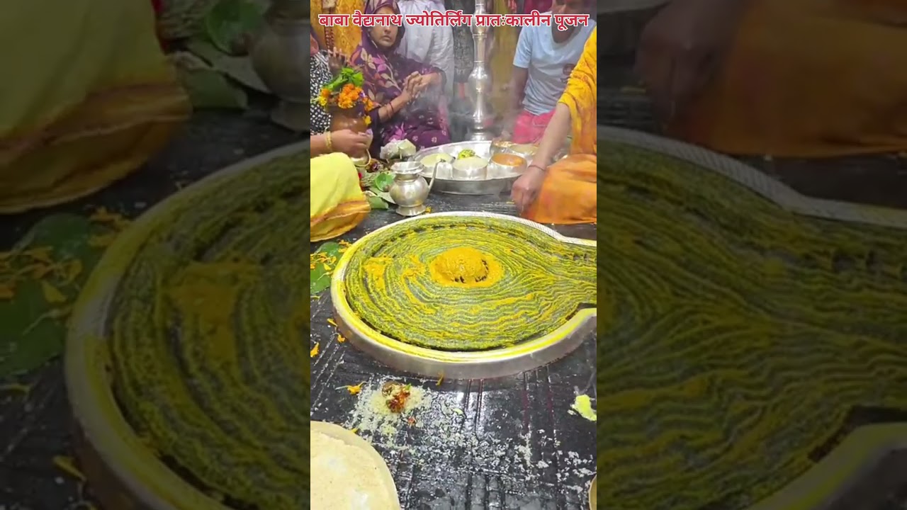 🌺🌿⚘️ बाबा वैद्यनाथ ज्योतिर्लिंग प्रातःकालीन पूजन 🌺🌿⚘️ 11/2/2026 #deoghar #babadham #bholenath #viral