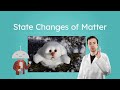 The Science Behind Melting Ice Cream and States of Matter