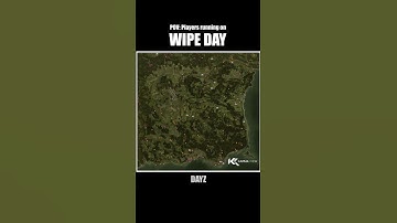 DayZ Chernarus on wipe be like...