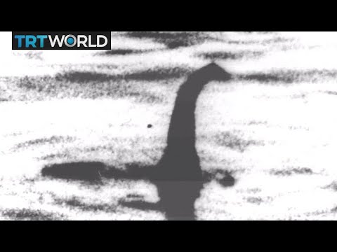 Video: Vědci Hledají DNA „Loch Ness Monster“- Alternativní Pohled