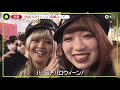 iSakura TV 4K halloween news 2020