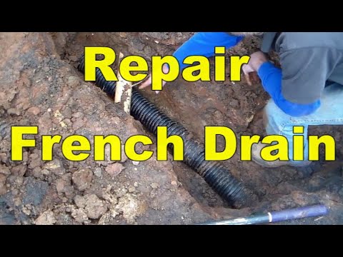 Pro Tips -  How to Find and Replace Broken Pipe, French Drain Pipe