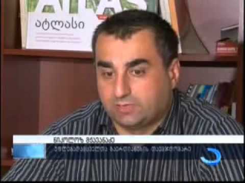 დუმბაძე დირექტივებს ვარშალომიძისგან და სააკაშვილისგან იღებს