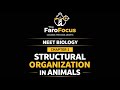 Structural Organisation in Animals | Lecture 2 | Levels of Organization & Division of Labour | NEET