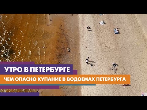 Почему нельзя купаться в петербургских водоемах?