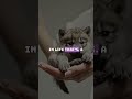 🔥 This Is NOT the End — Get Back Up 💪 | Powerful Life Motivation #motivation #stayfocused #mindset