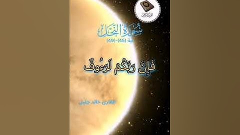 تلاوة تخشع لها القلوب