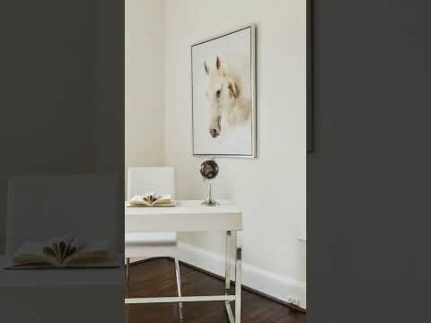 2407 E Randolph Ave., Alexandria, VA home video tour